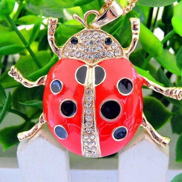 Jewelry - Cute ladybug 🐞 Pendant Necklace